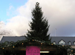 TN_PB270245.JPG