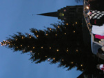 TN_PB270254.JPG