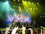 TN_010.jpg